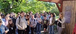 Obr: 2133.jpg