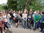Obr: 2139.jpg