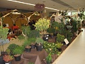 Obr: 4527.jpg