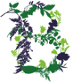 Obr: 1548
