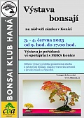 Obr: 2172