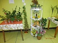 Obr: 23540.jpg