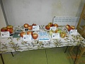 Obr: 23543.jpg