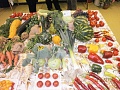 Obr: 23552.jpg
