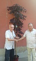 Obr: 16650.jpg