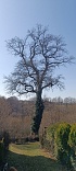 Obr: 47452.jpg