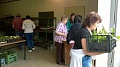 Obr: 16229.jpg