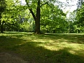 Obr: 16363.jpg