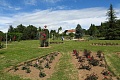 Obr: 20845.jpg