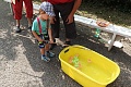 Obr: 21720.jpg