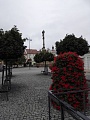 Obr: 23942.jpg