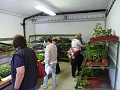 Obr: 25428.jpg