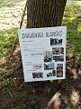Obr: 25671.jpg
