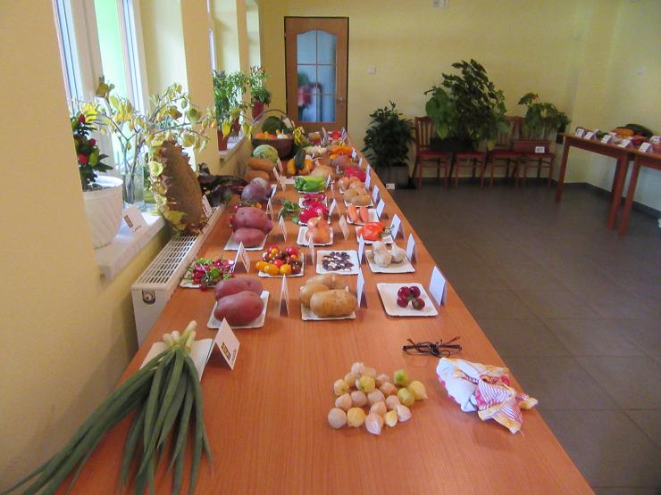Obr: 27888.jpg