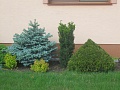 Obr: 11195.jpg