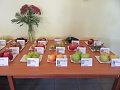 Obr: 27889.jpg