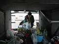 Obr: 30577.jpg