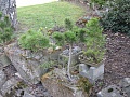 Obr: 11164.jpg