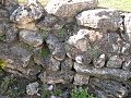 Obr: 11167.jpg