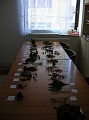 Obr: 11339.jpg