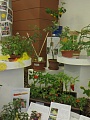 Obr: 13471.jpg