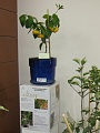 Obr: 13473.jpg