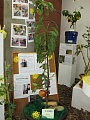 Obr: 13474.jpg