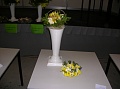 Obr: 21231.jpg