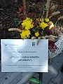 Obr: 27803.jpg