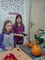 Obr: 28767.jpg