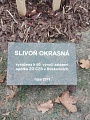 Obr: 28781.jpg