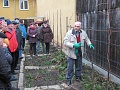 Obr: 29773.jpg