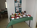 Obr: 36499.jpg