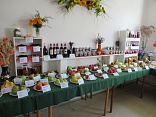 Obr: 43363.jpg