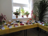 Obr: 43367.jpg