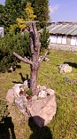 Obr: 45023.jpg