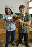 Obr: 46368.jpg