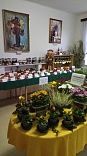 Obr: 46779.jpg