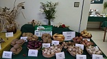 Obr: 46785.jpg