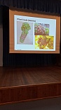 Obr: 47018.jpg