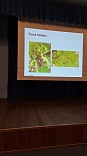 Obr: 47019.jpg