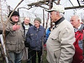 Obr: 9893.jpg