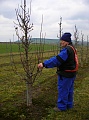 Obr: 9950.jpg