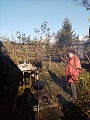 Obr: 36749.jpg
