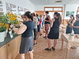 Obr: 53237.jpg