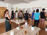 Obr: 53239.jpg