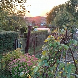 Obr: 45810.jpg
