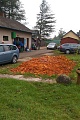 Obr: 8337.jpg