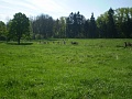 Obr: 16772.jpg