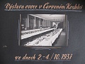 Obr: 37393.jpg